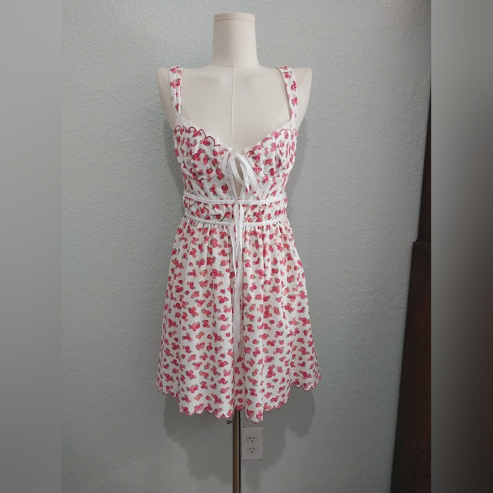 For Love And Lemons White and Red Floral Dress